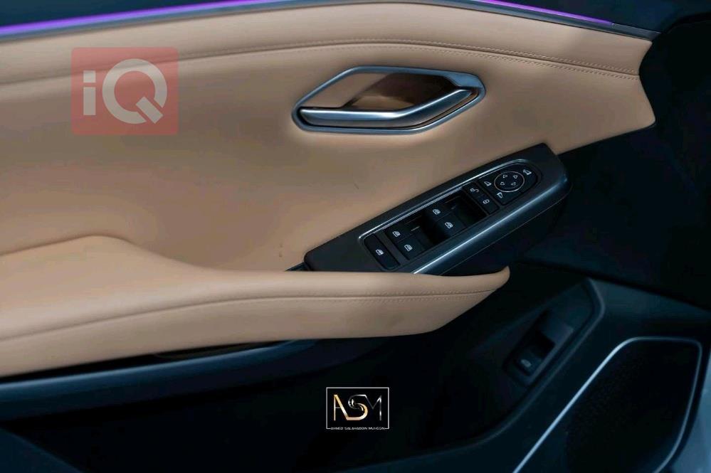 بي واي دي سونغ L DM-i